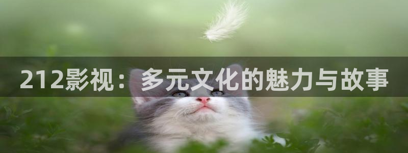 另类天堂影院：212影视：多元文化的魅力与故事